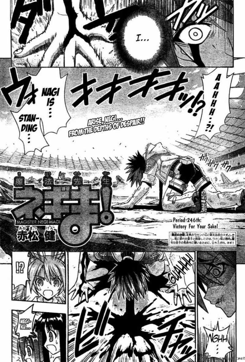 mahou_sensei_negima_246_2