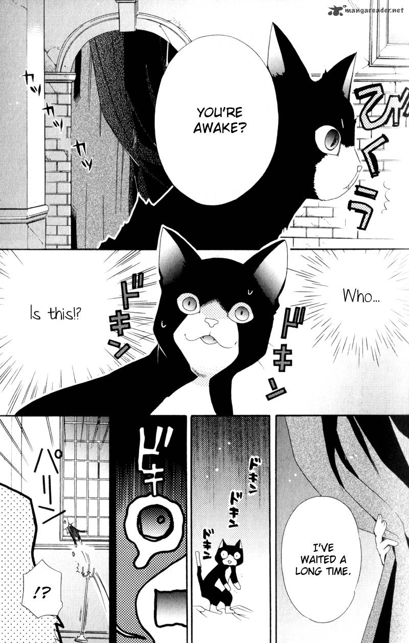 mahoutsukai_no_neko_1_22