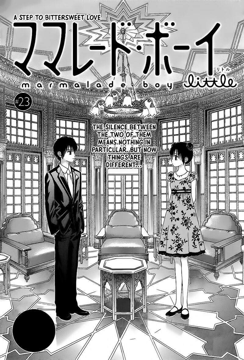 marmalade_boy_little_23_2