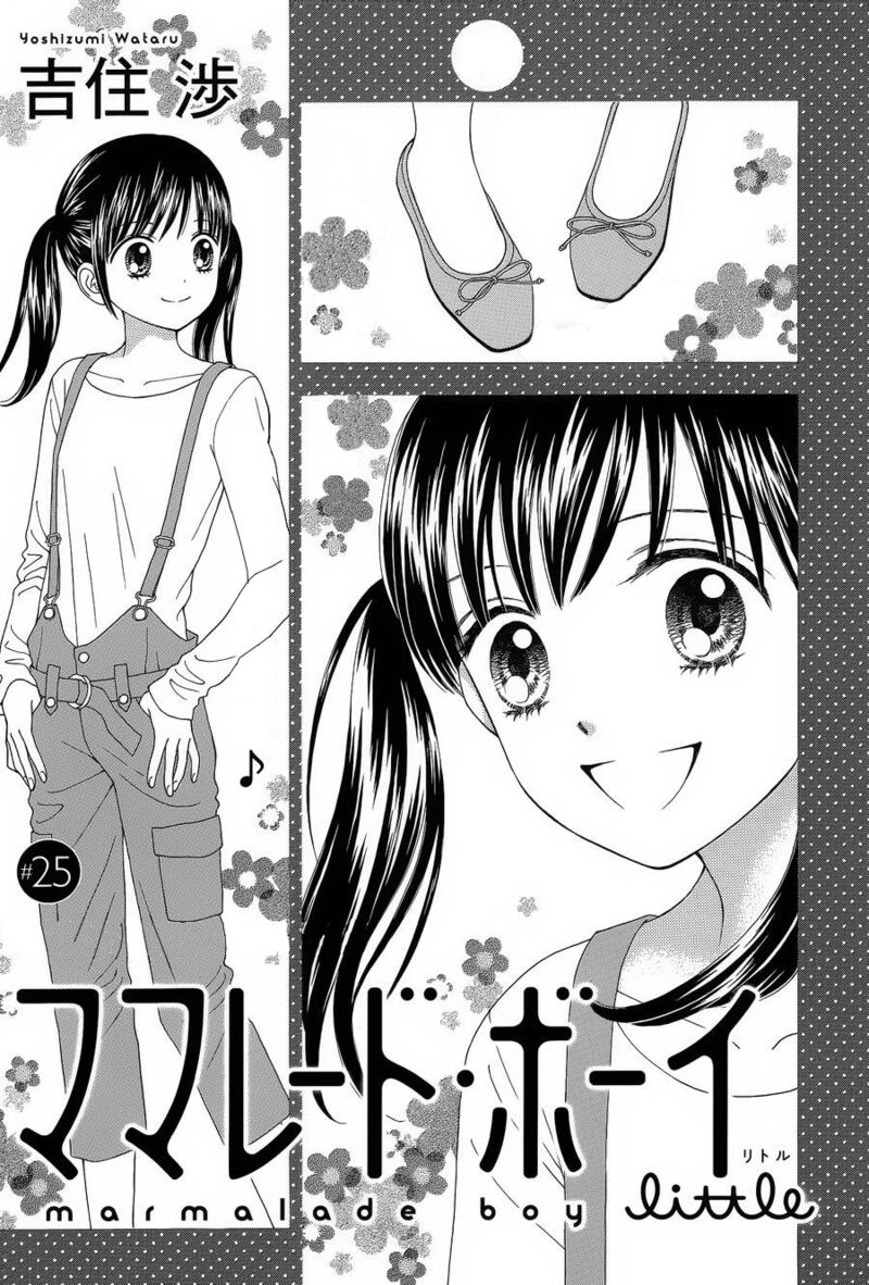 marmalade_boy_little_25_2