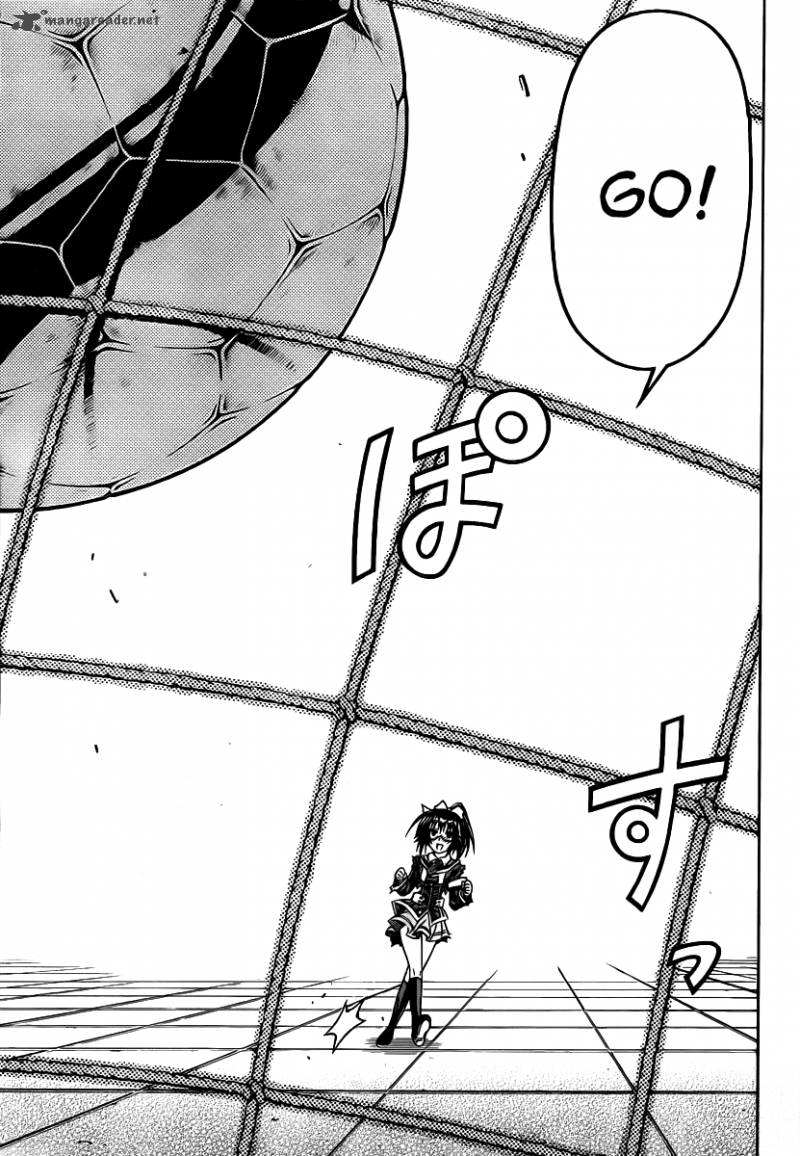 medaka_box_114_21