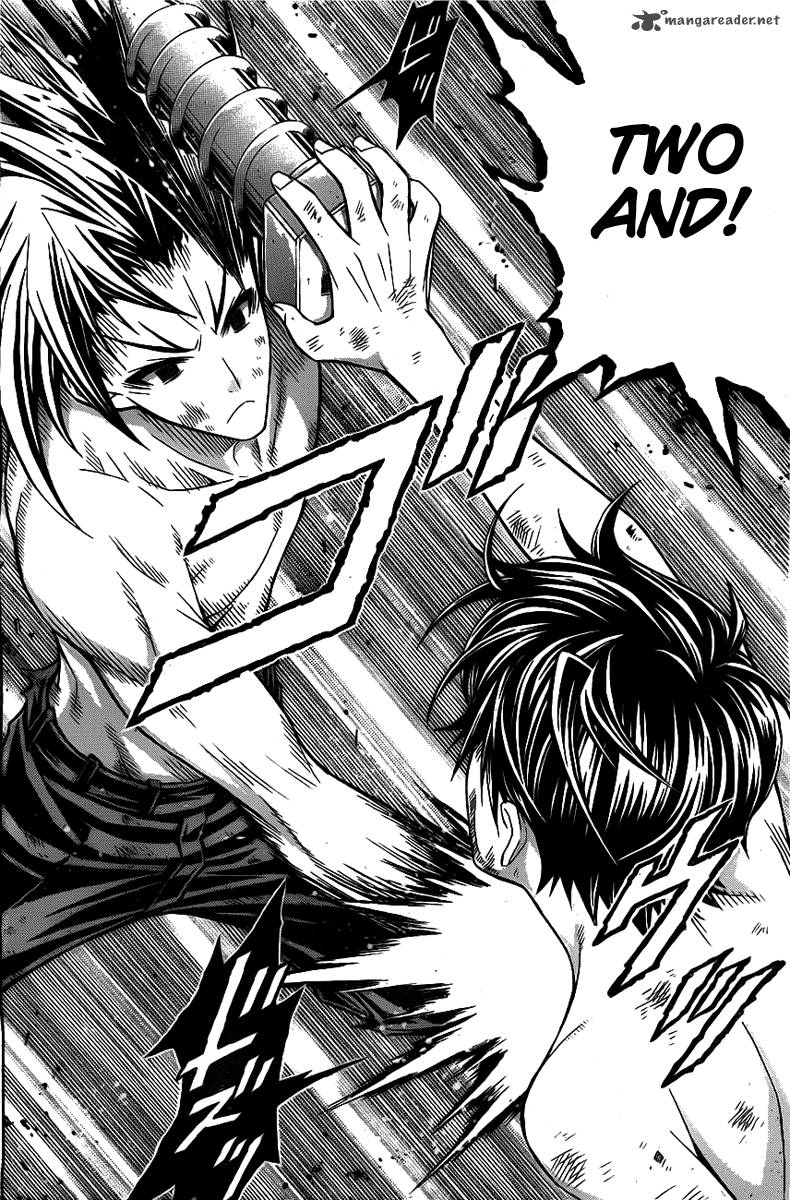 medaka_box_121_6