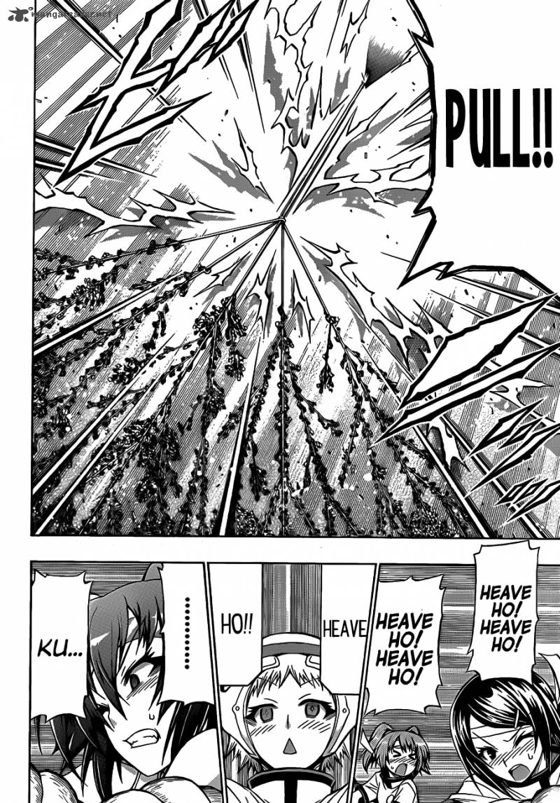 medaka_box_132_13
