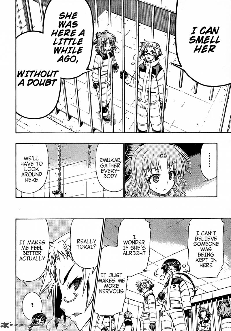 medaka_box_149_8