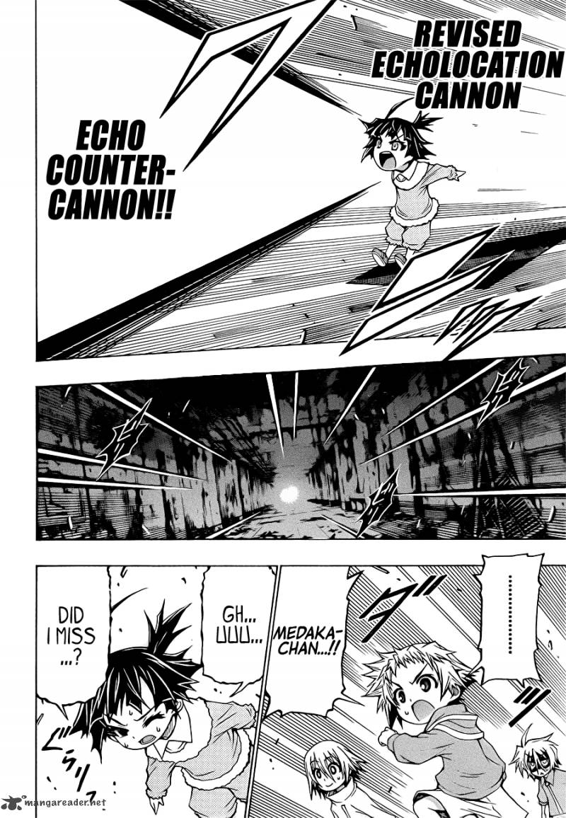 medaka_box_172_14