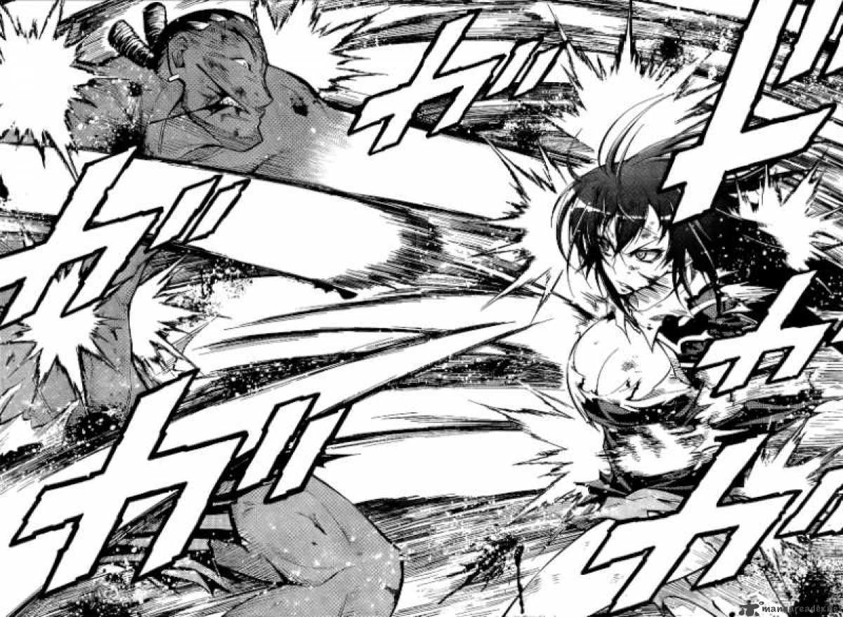 medaka_box_32_9