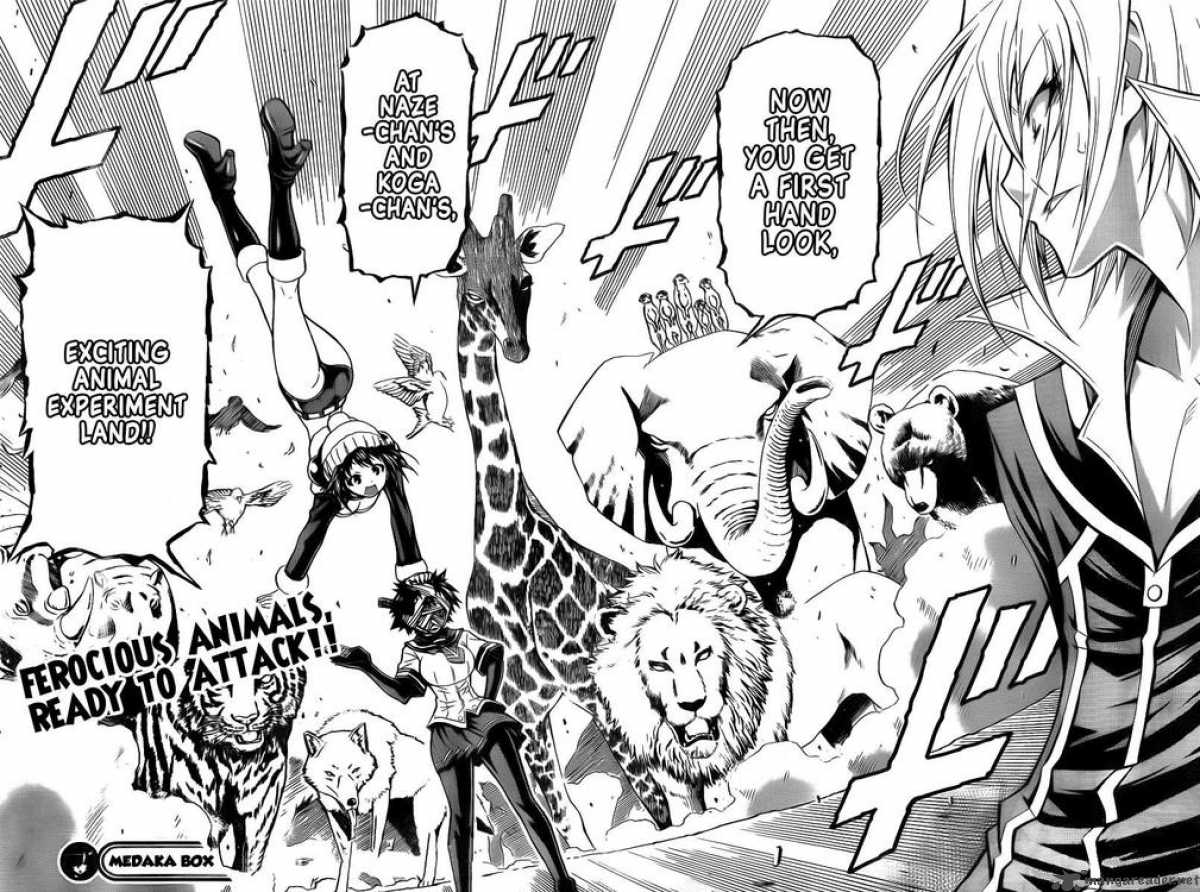 medaka_box_38_18