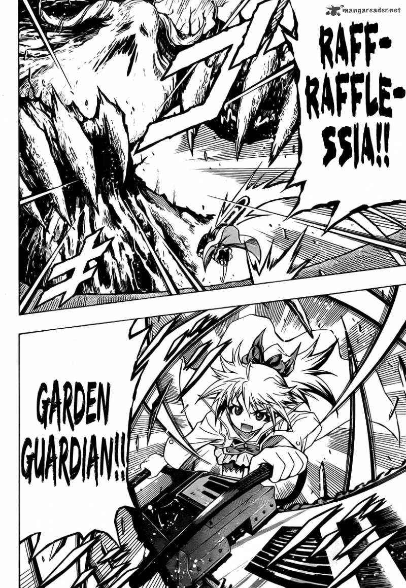 medaka_box_82_12