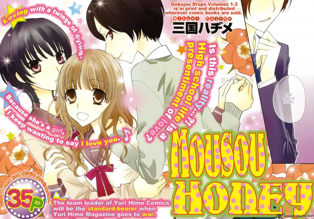 mousou_honey_1_3