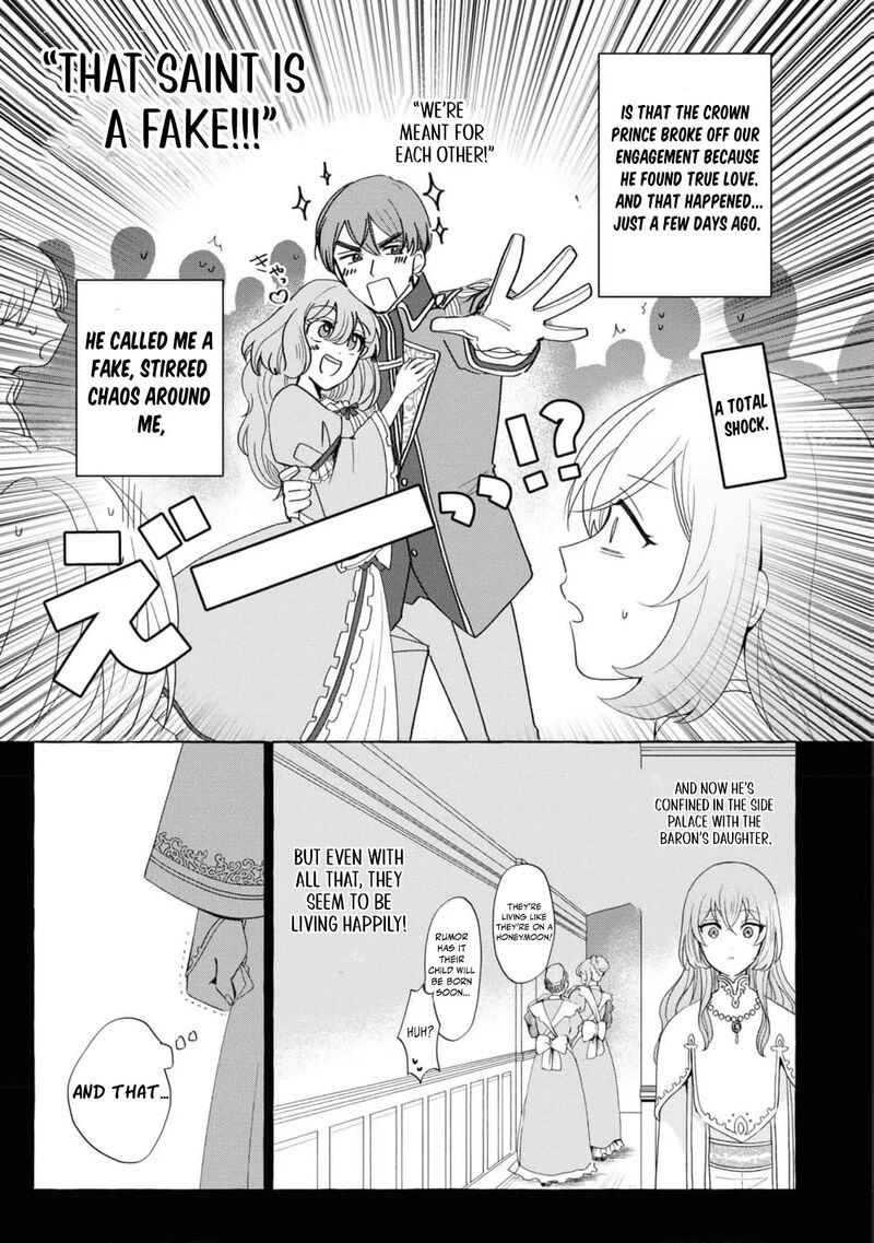nise_seijo_da_to_iwaremashita_ga_douyara_watashi_ga_honmono_no_you_desu_ka_13_9