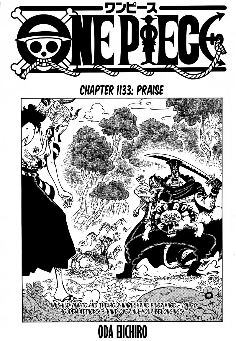 one_piece_1133_1