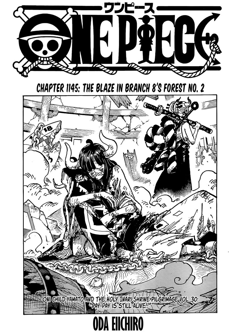 one_piece_1145_3
