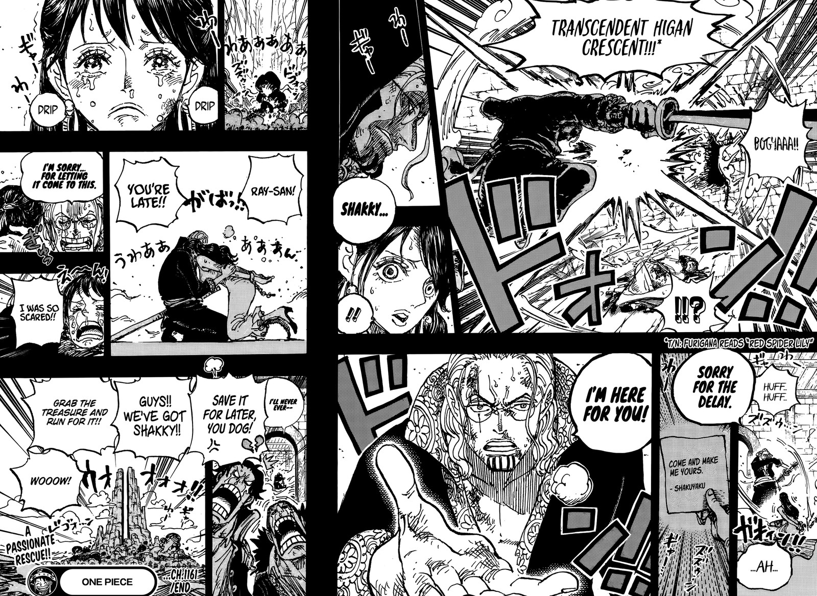 one_piece_1161_15