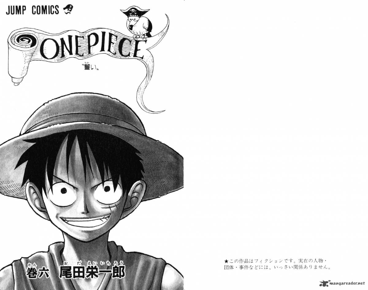 one_piece_45_25