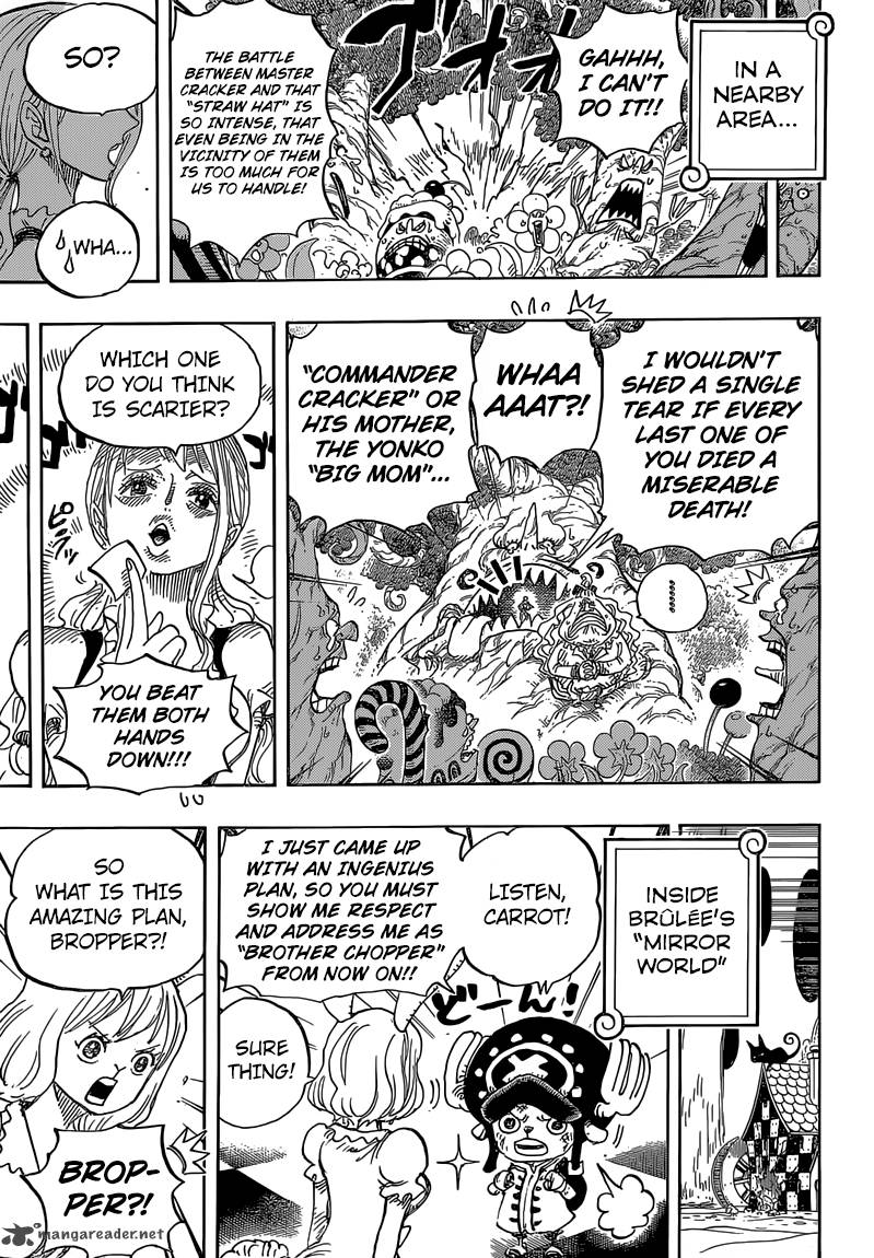 one_piece_838_11