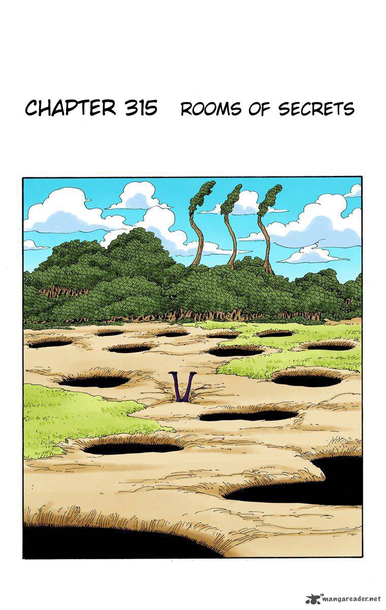 one_piece_colored_315_2