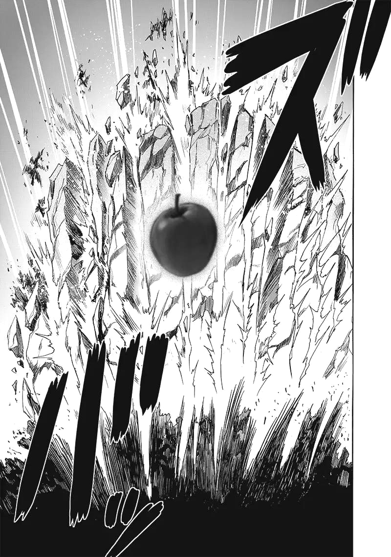 onepunch_man_188_15