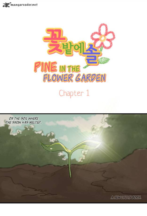 pine_in_the_flower_garden_1_9
