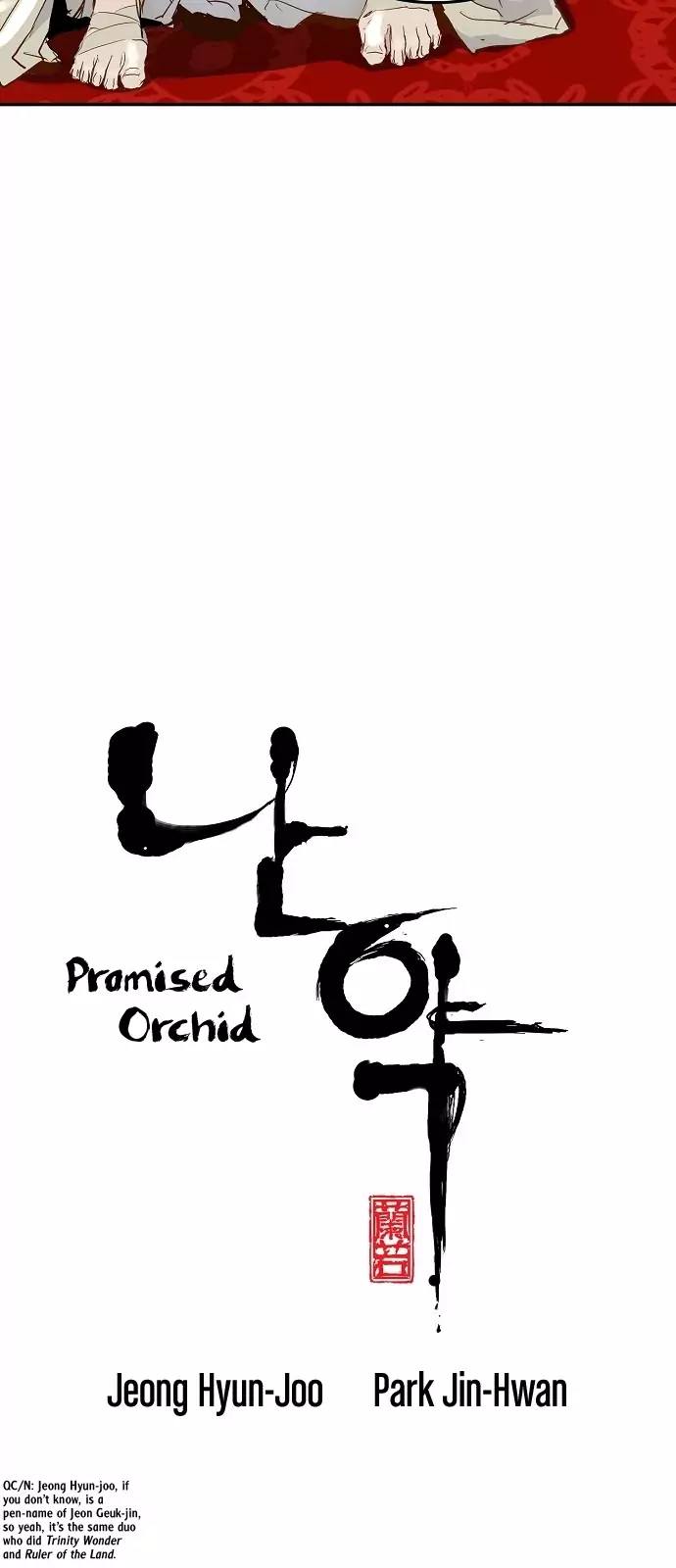 promised_orchid_5_4