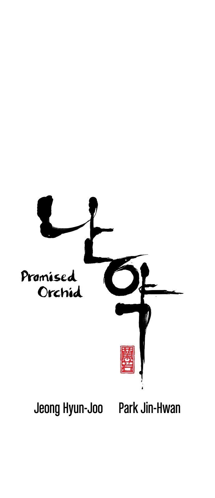 promised_orchid_7_1