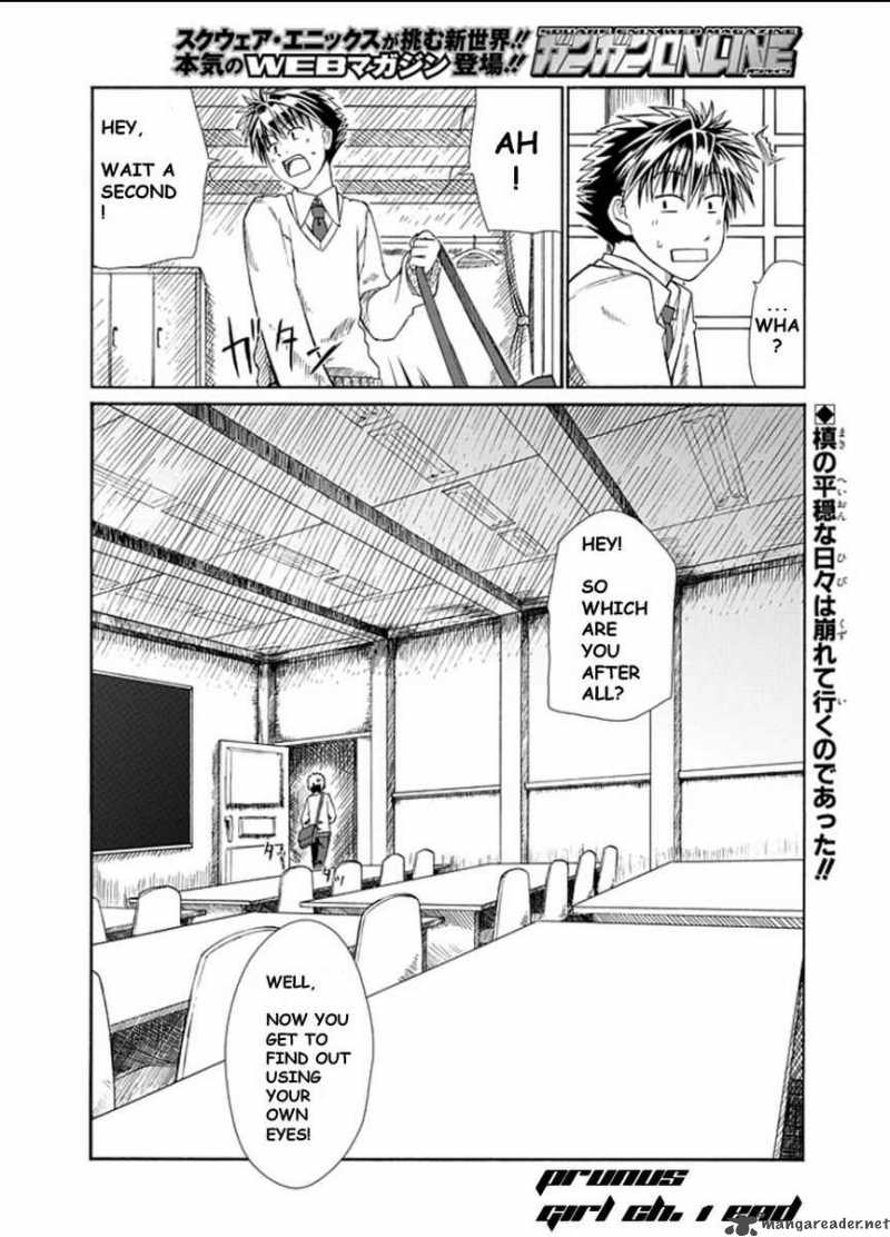 prunus_girl_1_42