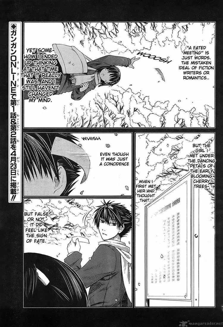 prunus_girl_3_3