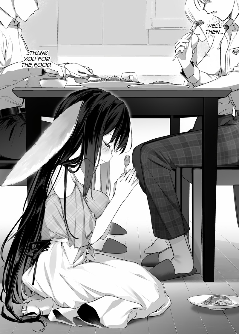 rabbit_and_owner_8_5