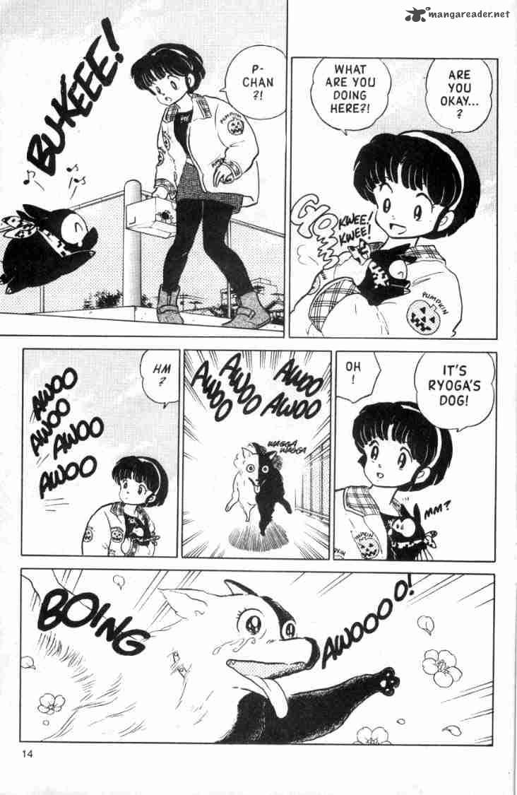 ranma_1_2_11_16