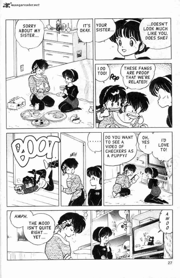 ranma_1_2_11_29