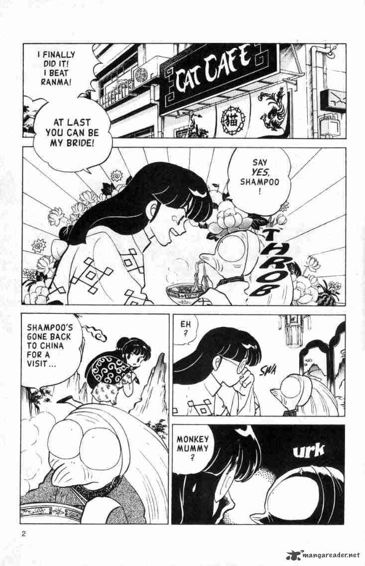 ranma_1_2_13_39