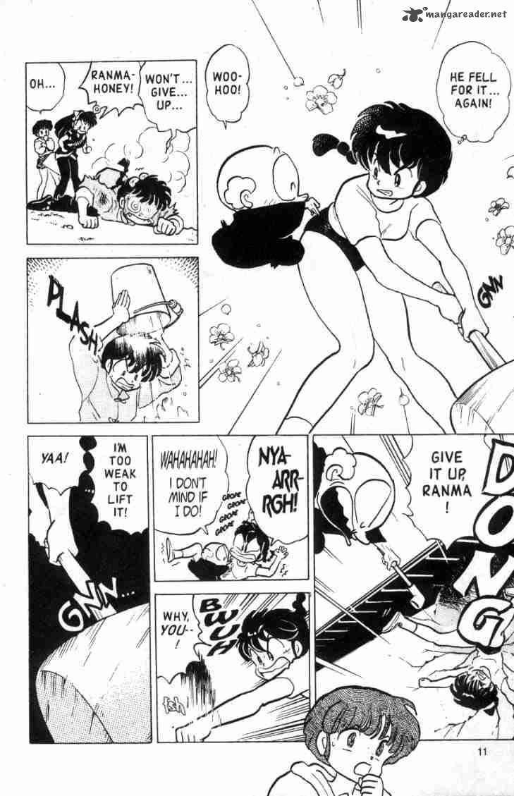 ranma_1_2_13_48