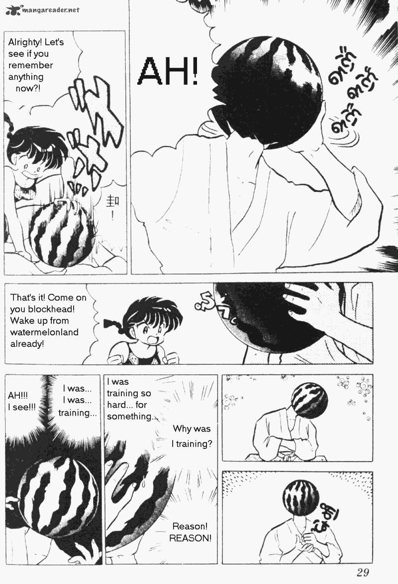 ranma_1_2_19_29
