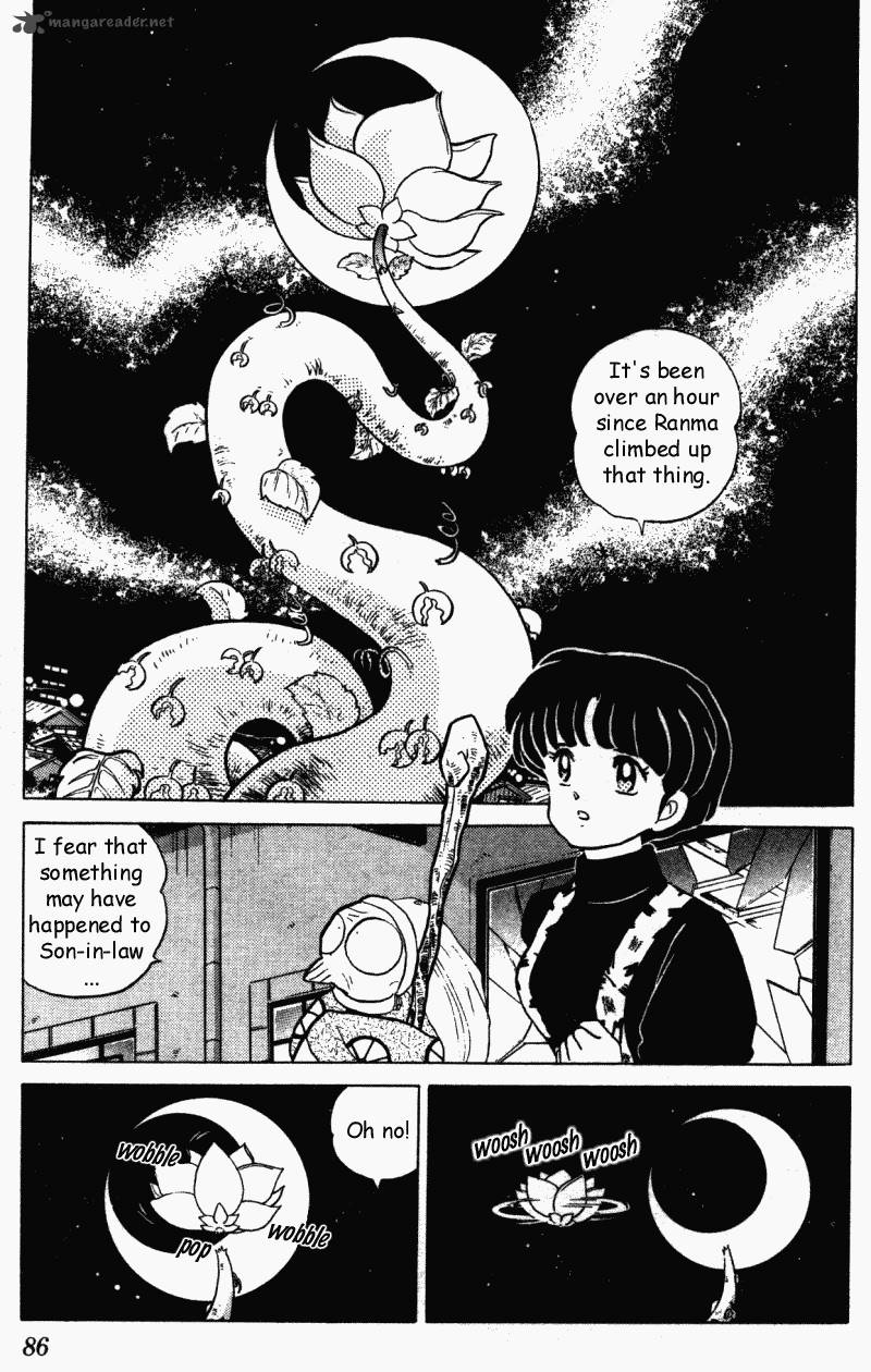 ranma_1_2_29_86