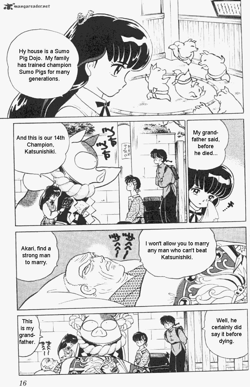 ranma_1_2_30_16