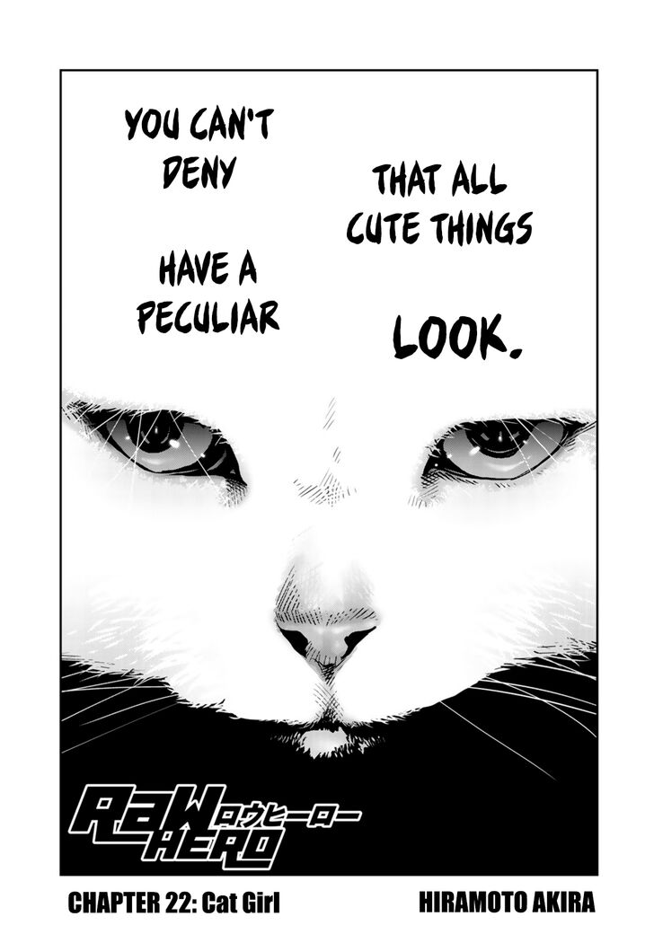 raw_hero_22_1