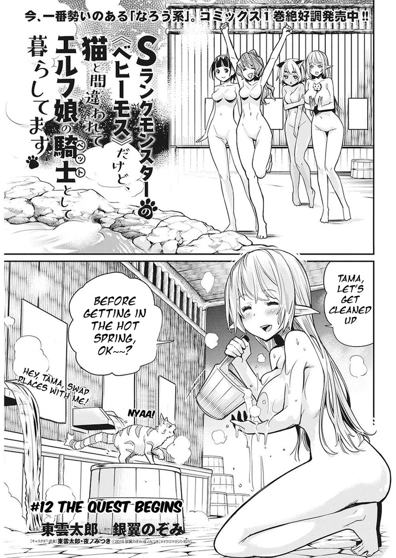 s_rank_monster_no_behemoth_dakedo_neko_to_machigawarete_erufu_musume_no_kishi_pet_toshite_kurashitemasu_12_1