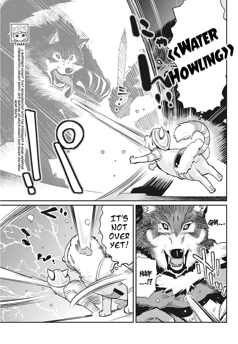 s_rank_monster_no_behemoth_dakedo_neko_to_machigawarete_erufu_musume_no_kishi_pet_toshite_kurashitemasu_13_7