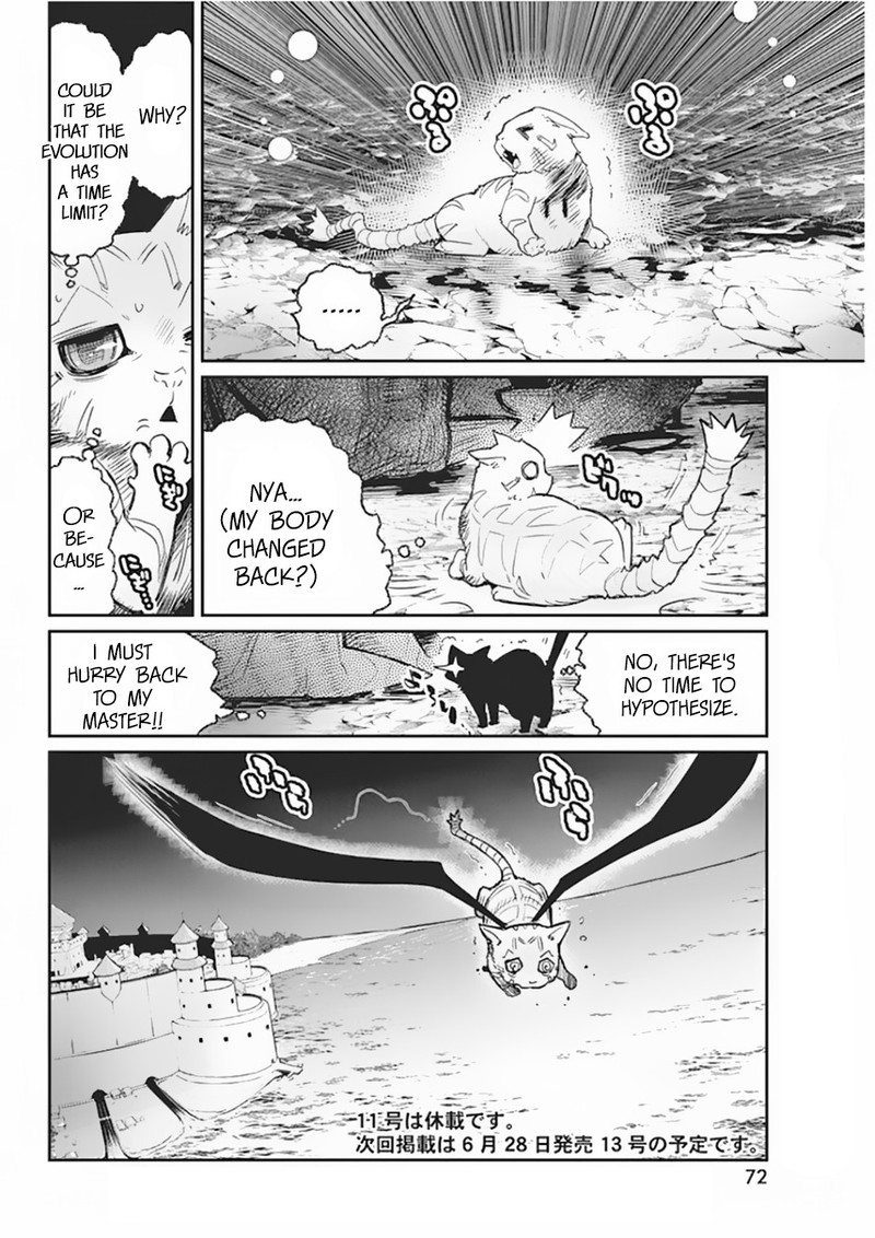 s_rank_monster_no_behemoth_dakedo_neko_to_machigawarete_erufu_musume_no_kishi_pet_toshite_kurashitemasu_15_18