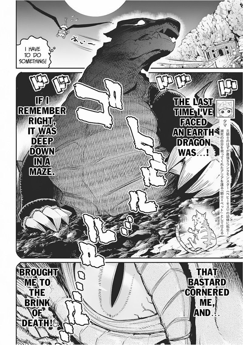 s_rank_monster_no_behemoth_dakedo_neko_to_machigawarete_erufu_musume_no_kishi_pet_toshite_kurashitemasu_15_2