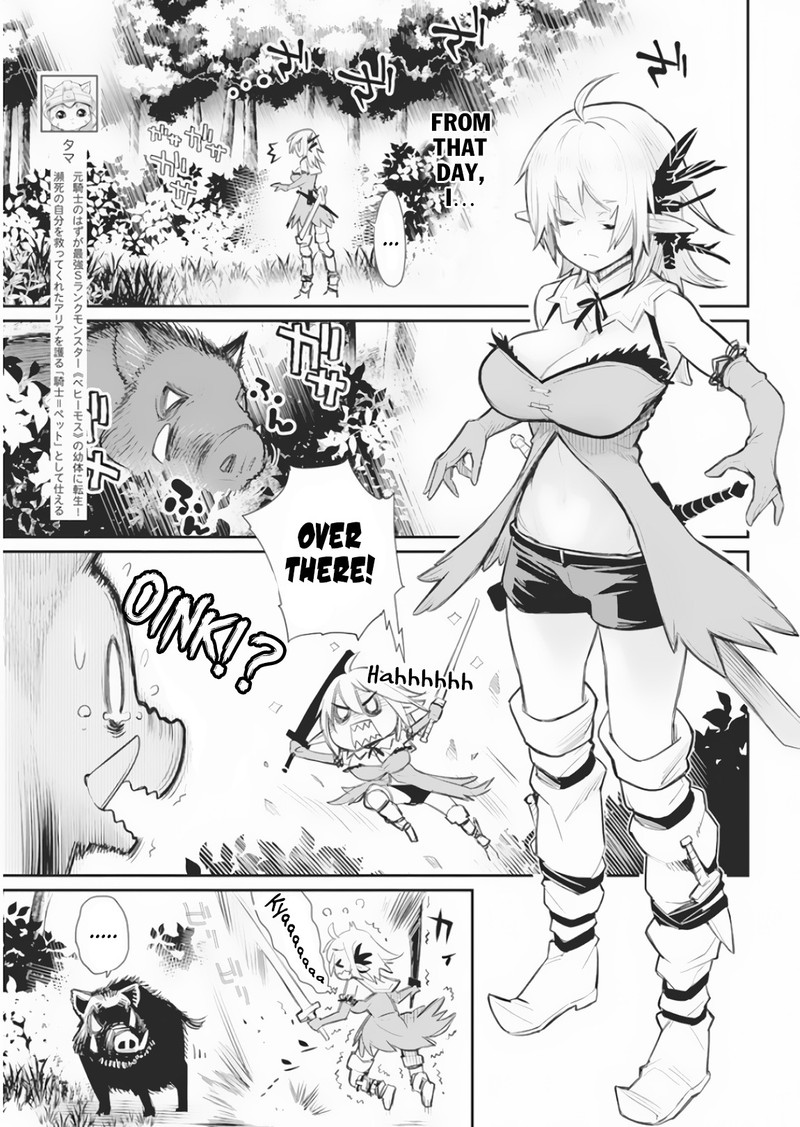 s_rank_monster_no_behemoth_dakedo_neko_to_machigawarete_erufu_musume_no_kishi_pet_toshite_kurashitemasu_17_4