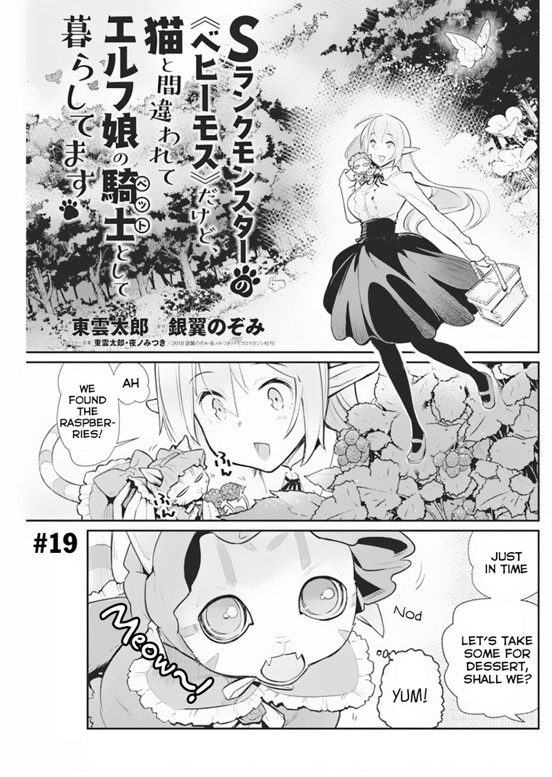 s_rank_monster_no_behemoth_dakedo_neko_to_machigawarete_erufu_musume_no_kishi_pet_toshite_kurashitemasu_19_1