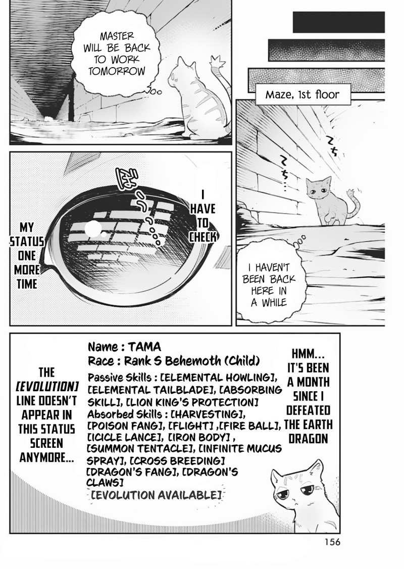 s_rank_monster_no_behemoth_dakedo_neko_to_machigawarete_erufu_musume_no_kishi_pet_toshite_kurashitemasu_19_8