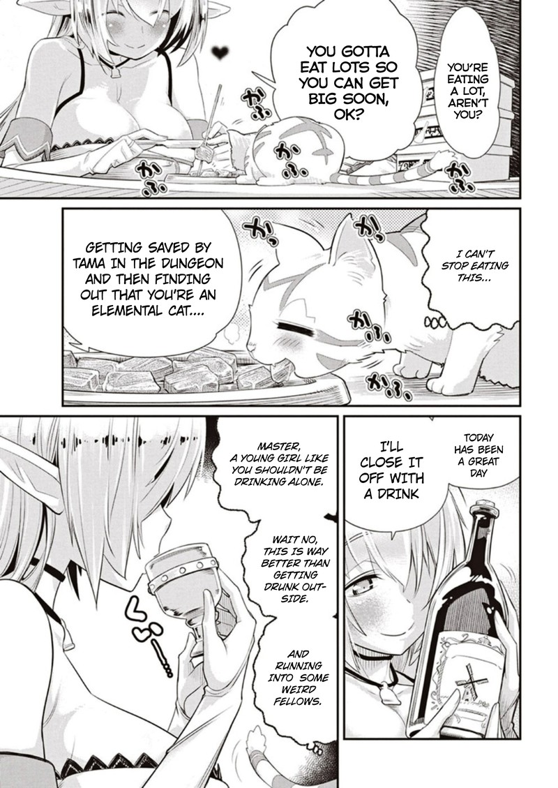 s_rank_monster_no_behemoth_dakedo_neko_to_machigawarete_erufu_musume_no_kishi_pet_toshite_kurashitemasu_3_21