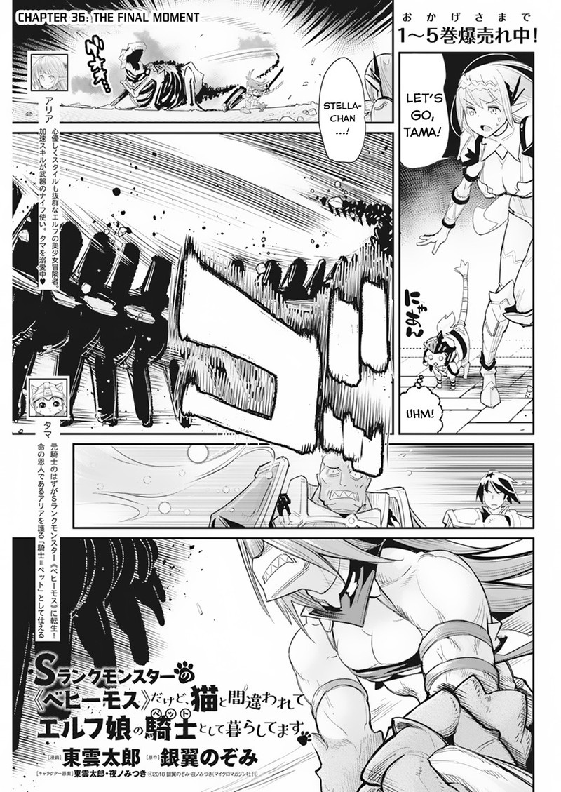 s_rank_monster_no_behemoth_dakedo_neko_to_machigawarete_erufu_musume_no_kishi_pet_toshite_kurashitemasu_36_1