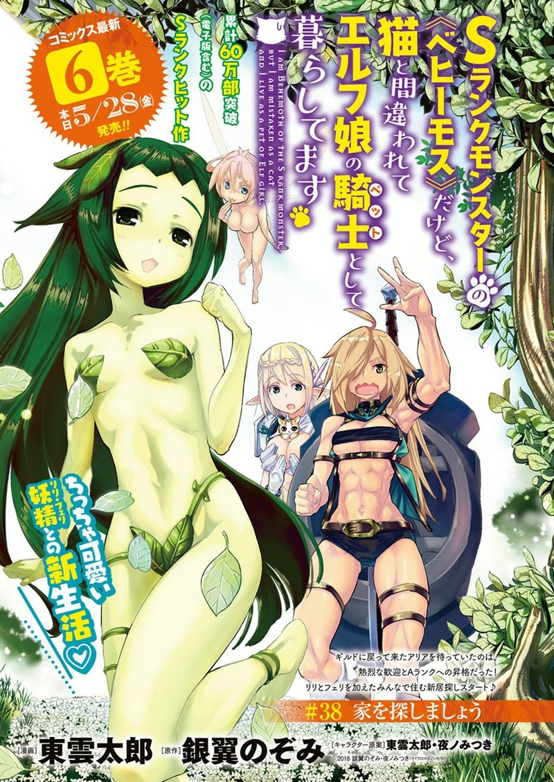 s_rank_monster_no_behemoth_dakedo_neko_to_machigawarete_erufu_musume_no_kishi_pet_toshite_kurashitemasu_38_1