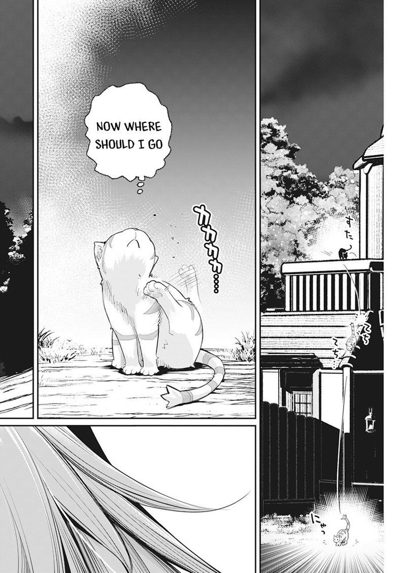 s_rank_monster_no_behemoth_dakedo_neko_to_machigawarete_erufu_musume_no_kishi_pet_toshite_kurashitemasu_38_21