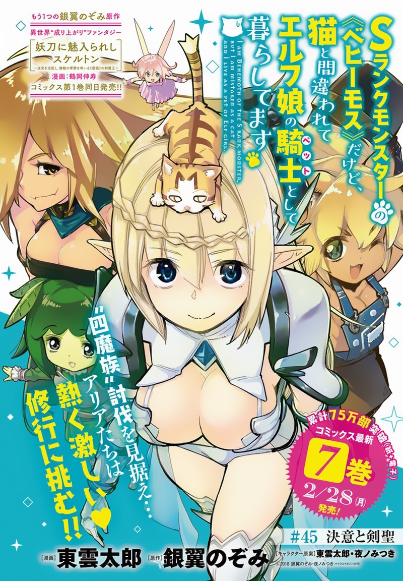 s_rank_monster_no_behemoth_dakedo_neko_to_machigawarete_erufu_musume_no_kishi_pet_toshite_kurashitemasu_45_1