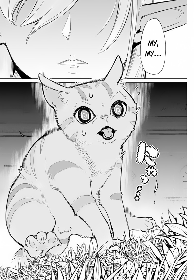s_rank_monster_no_behemoth_dakedo_neko_to_machigawarete_erufu_musume_no_kishi_pet_toshite_kurashitemasu_47_15