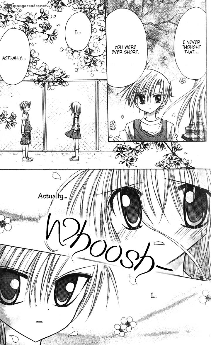 sakura_zensen_5_25