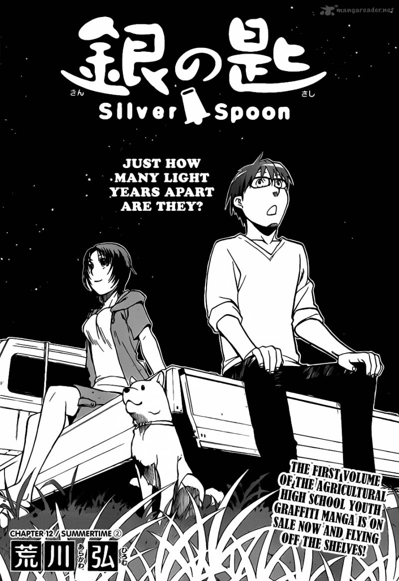 silver_spoon_12_5